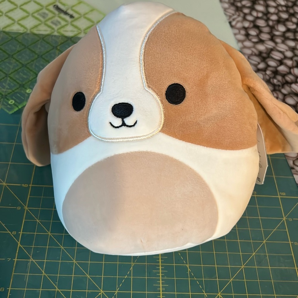 COPY - Adela 8” shquishmallow dog.